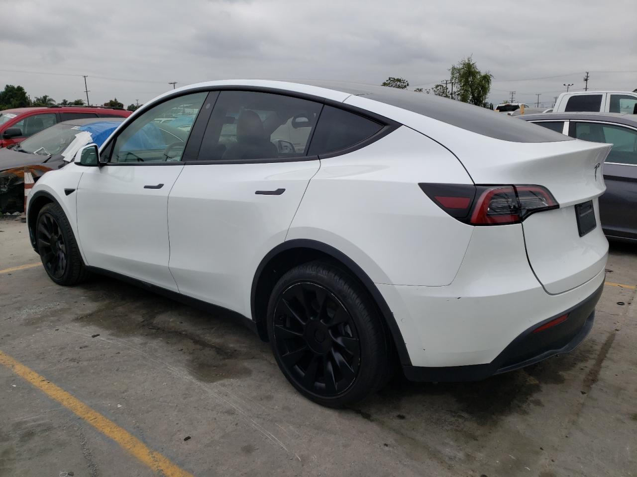 2022 TESLA MODEL Y  VIN:7SAYGDEE1NF554234