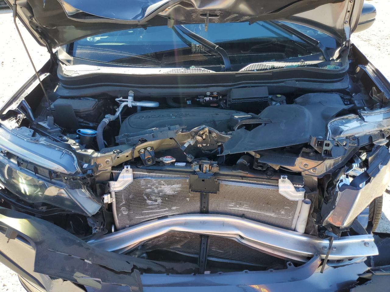 2022 HONDA PILOT EXL VIN:5FNYF5H51NB036366