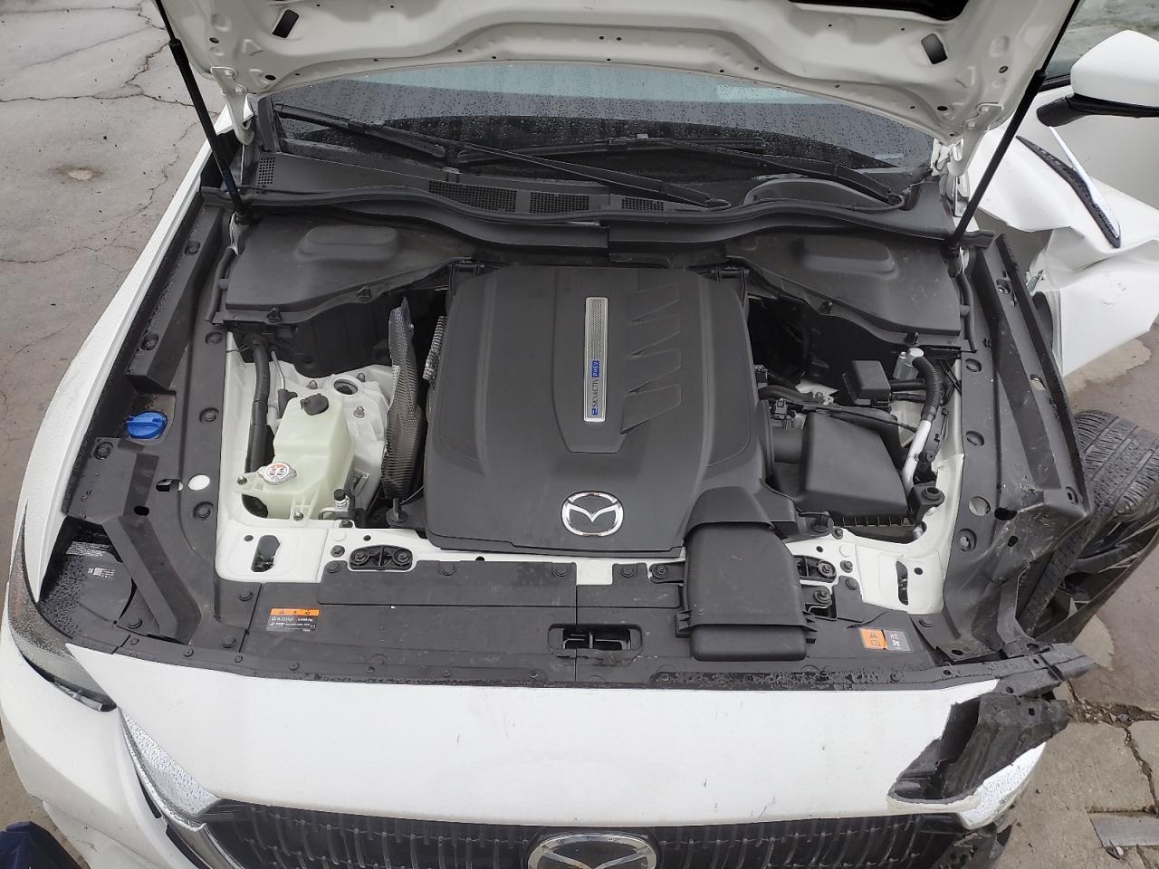 2024 MAZDA CX-90 PREMIUM PLUS VIN:JM3KKEHA2R1107384