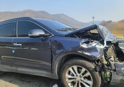 2017 Hyundai Santa FE KMHSW81UBHU741427 VIN:KMHSW81UBHU741427