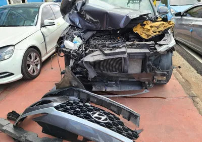 2019 Hyundai Santa FE KMHS281BBKU139725 VIN:KMHS281BBKU139725