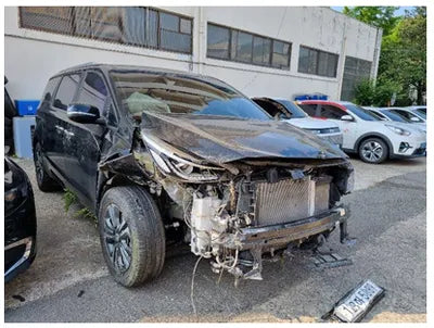 2020 Kia Carnival KNAMB81ABLS622598 VIN:KNAMB81ABLS622598