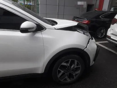 2021 Kia Sportage KNAPN813BMK924179 VIN:KNAPN813BMK924179