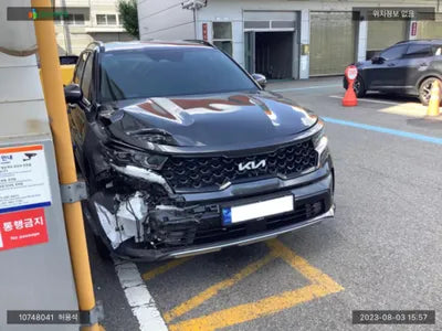 2023 Kia Sorento KNARL81FGPA216084 VIN:KNARL81FGPA216084