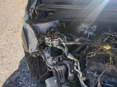 2019 Hyundai Kona KMHK281GFLU066548 VIN:KMHK281GFLU066548