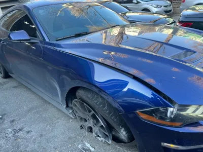 2019 Ford Mustang 442KM1FA6P8TH4K51 VIN:442KM1FA6P8TH4K51