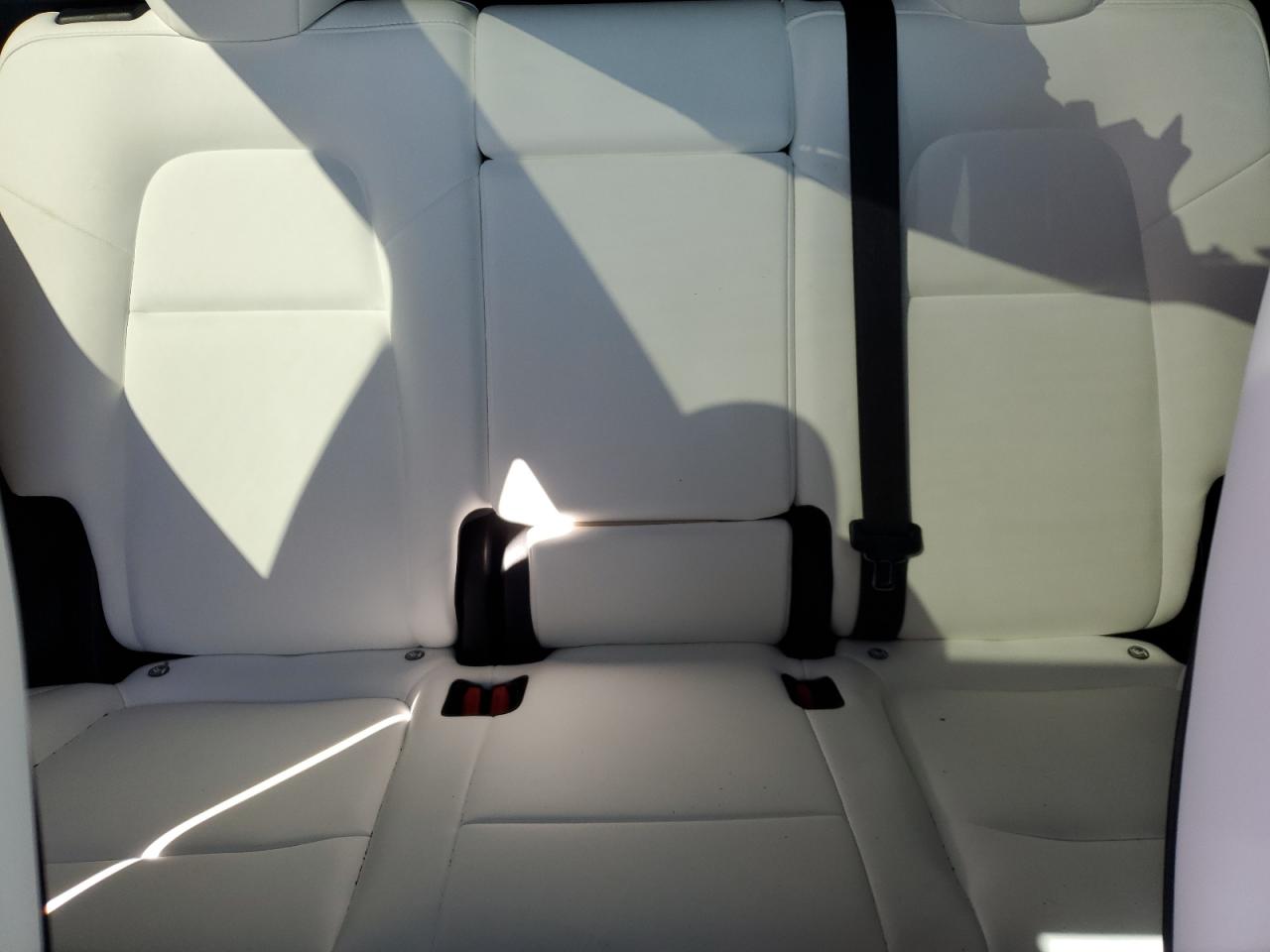 2023 TESLA MODEL Y  VIN:7SAYGDEFXPF935544