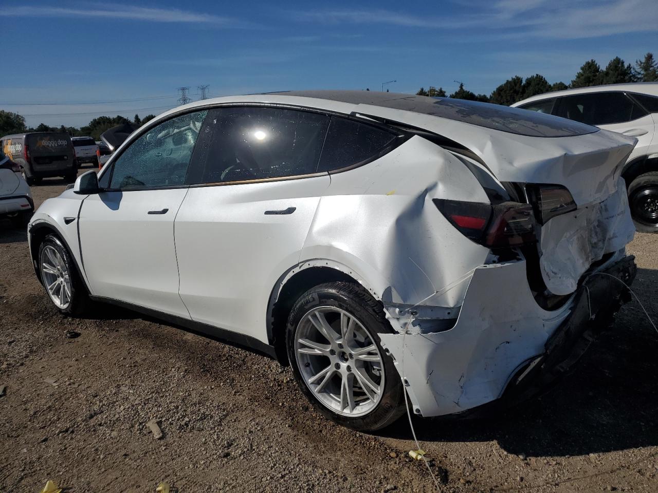 2023 TESLA MODEL Y  VIN:7SAYGDEEXPA145360