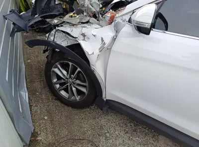 2016 Hyundai Santa FE KMHSW81UBGU684005 VIN:KMHSW81UBGU684005