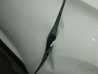 2019 Hyundai Santa FE KMHS381CDKU003486 VIN:KMHS381CDKU003486