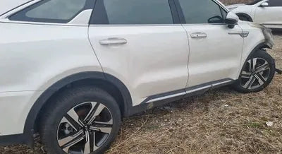 2021 Kia Sorento KNARH81GBMA021079 VIN:KNARH81GBMA021079