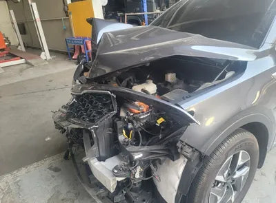 2021 Kia Sorento KNARK81GBMA037045 VIN:KNARK81GBMA037045