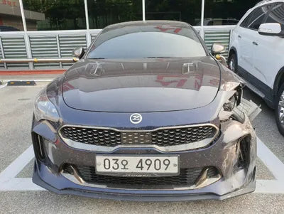 2019 Kia Stinger KNAE351ADKS045666 VIN:KNAE351ADKS045666