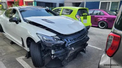 2020 Kia Stinger KNAE751CDLS076665 VIN:KNAE751CDLS076665