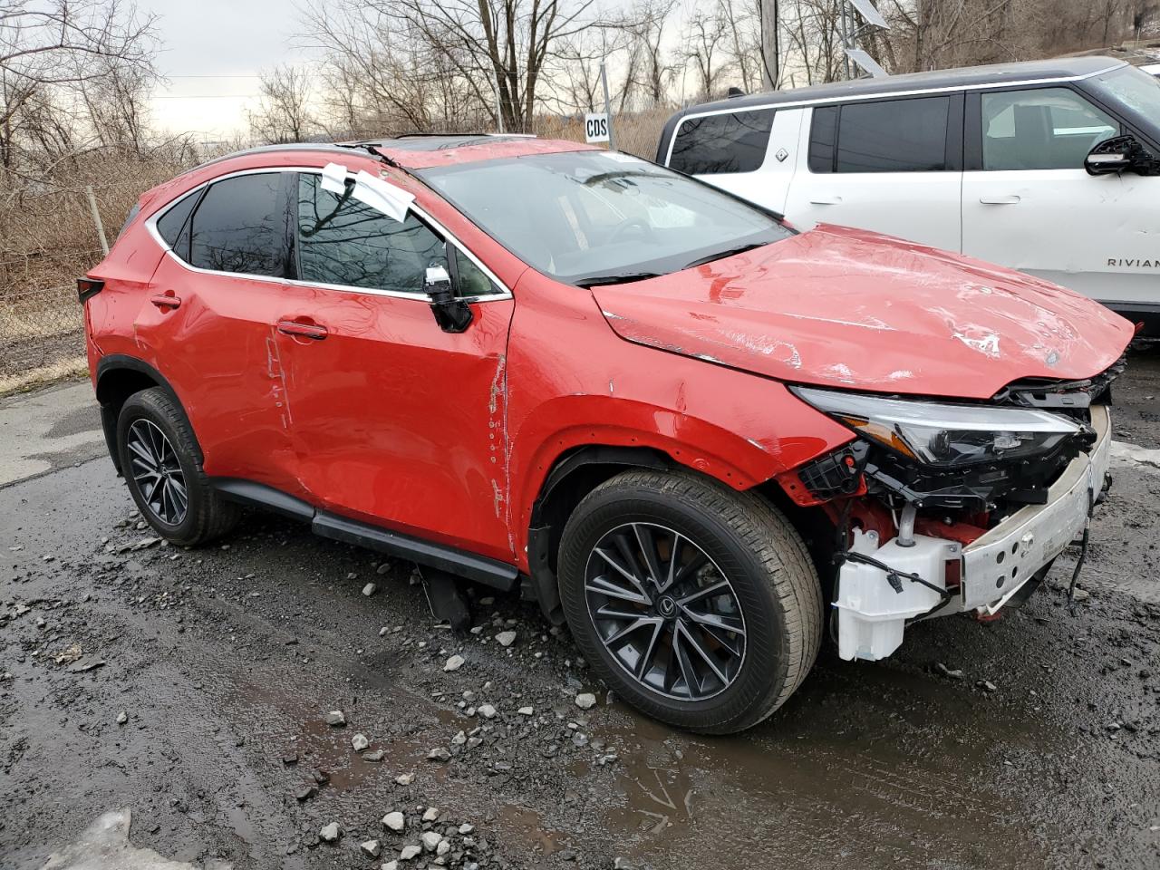 2024 LEXUS NX 350H BASE VIN:2T2GKCEZ9RC027309