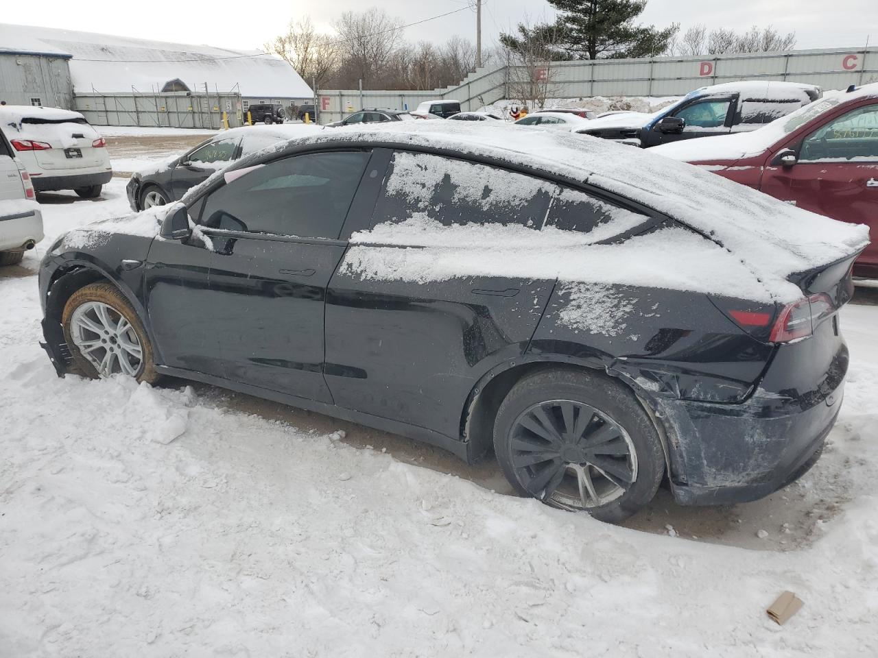 2023 TESLA MODEL Y  VIN:7SAYGDEE9PA181525