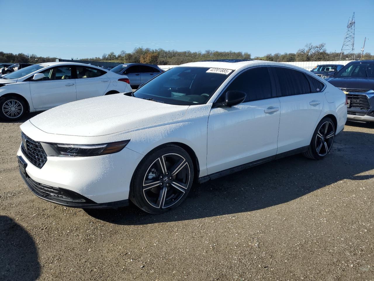 2024 HONDA ACCORD HYBRID SPORT VIN:1HGCY2F56RA044291