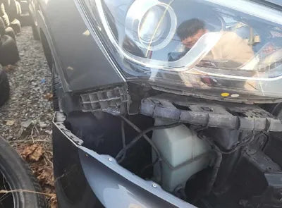 2017 Hyundai Santa FE KMHSW81UBHU737117 VIN:KMHSW81UBHU737117