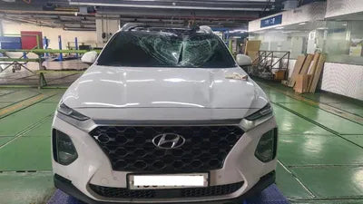 2020 Hyundai Santa FE KMHS381CBLU261557 VIN:KMHS381CBLU261557