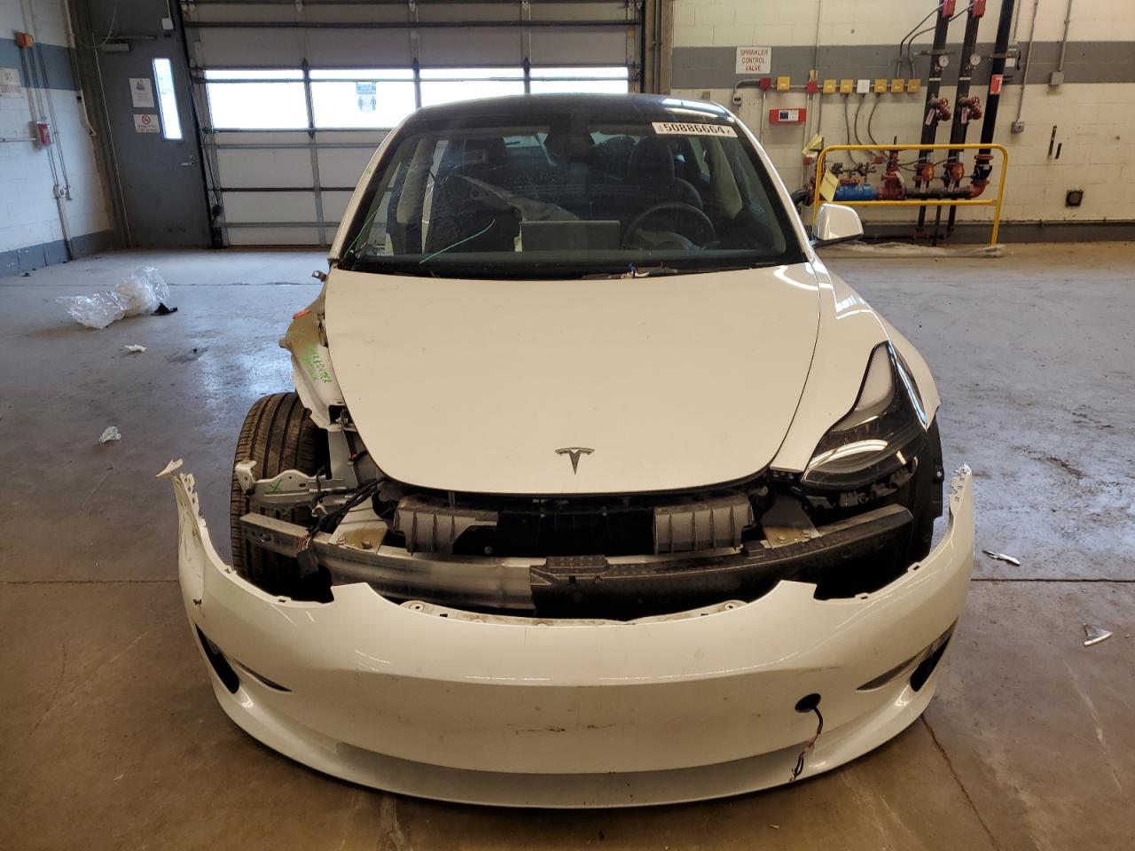 2023 TESLA MODEL 3  VIN:5YJ3E1EB6PF594491