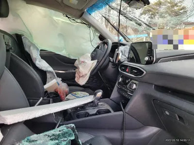 2019 Hyundai Santa FE KMHS281ABKU171485 VIN:KMHS281ABKU171485