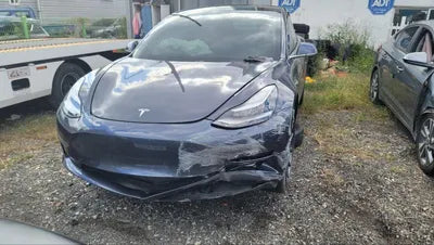 2020 Tesla Model 3 5YJ3E1EB9LF725407 VIN:5YJ3E1EB9LF725407