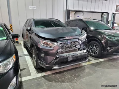 2019 Toyota RAV4 JTMDWRFV4KD030718 VIN:JTMDWRFV4KD030718