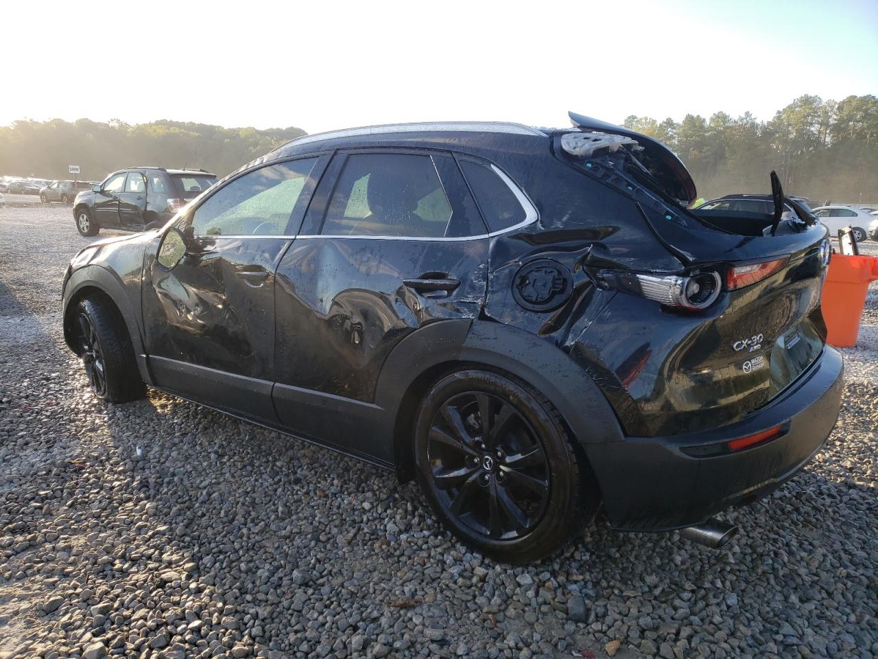 2022 MAZDA CX-30 PREMIUM PLUS VIN:3MVDMBEY9NM452712