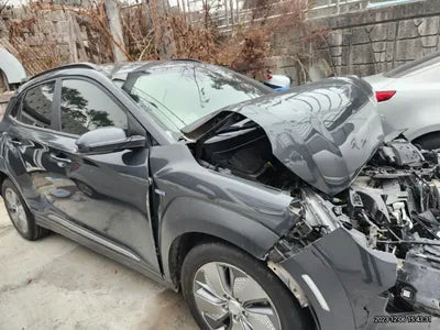 2019 Hyundai Kona KMHK381GFKU060030 VIN:KMHK381GFKU060030