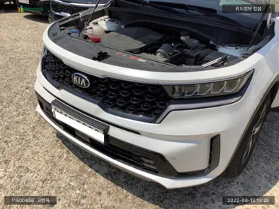 2021 Kia Sorento KNARF81BHMA088631 VIN:KNARF81BHMA088631