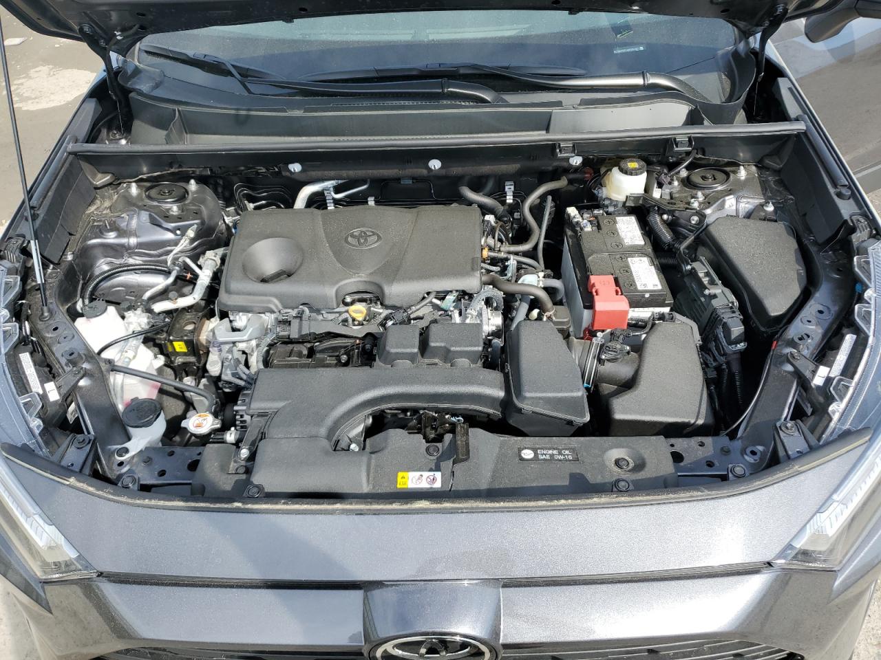 2024 TOYOTA RAV4 XLE VIN:2T3W1RFV3RC293871