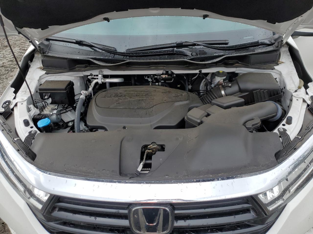 2024 HONDA ODYSSEY EXL VIN:5FNRL6H66RB018964