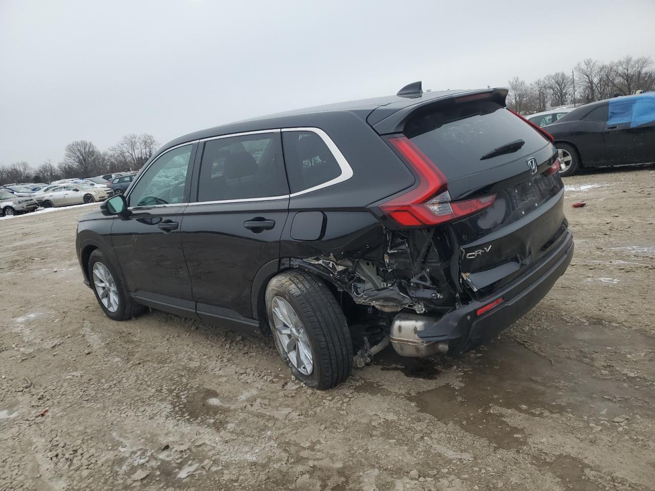 2024 HONDA CR-V EXL VIN:7FARS4H78RE020719