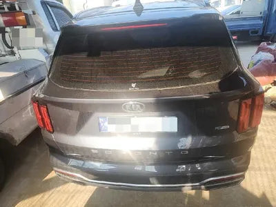 2021 Kia Sorento KNARH81GBMA057653 VIN:KNARH81GBMA057653