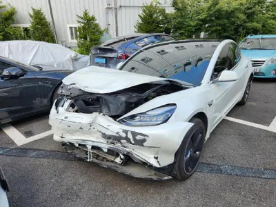 2020 Tesla Model 3 5YJ3E1EB3LF809738 VIN:5YJ3E1EB3LF809738
