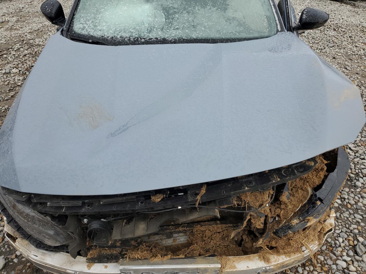 2022 HONDA ACCORD SPORT VIN:1HGCV1F33NA074506