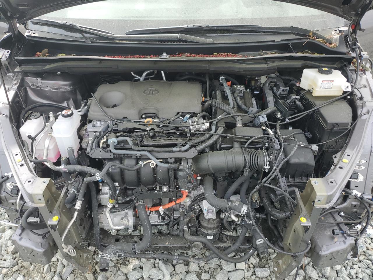 2024 TOYOTA SIENNA LIMITED VIN:5TDERKEC7RS222510
