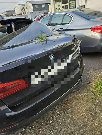 2020 BMW 530 WBAJS9103LCE28696 VIN:WBAJS9103LCE28696