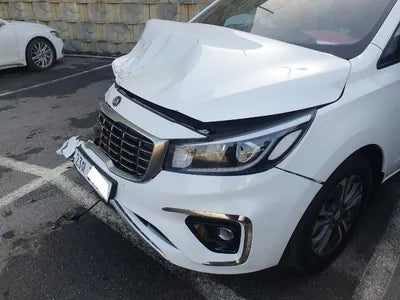 2019 Kia Carnival KNAMB81ABKS556683 VIN:KNAMB81ABKS556683