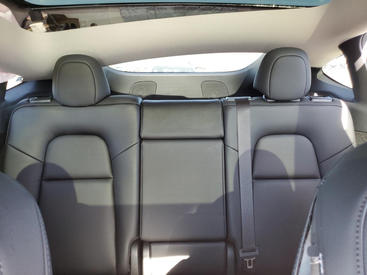 2023 TESLA MODEL Y  VIN:7SAYGDEE6PF769434