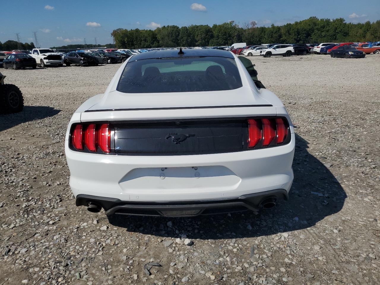 2022 FORD MUSTANG  VIN:1FA6P8TH9N5141977