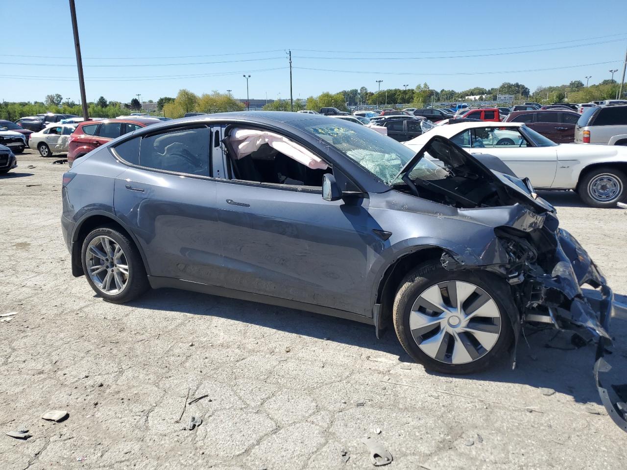 2023 TESLA MODEL Y  VIN:7SAYGDEEXPA175250