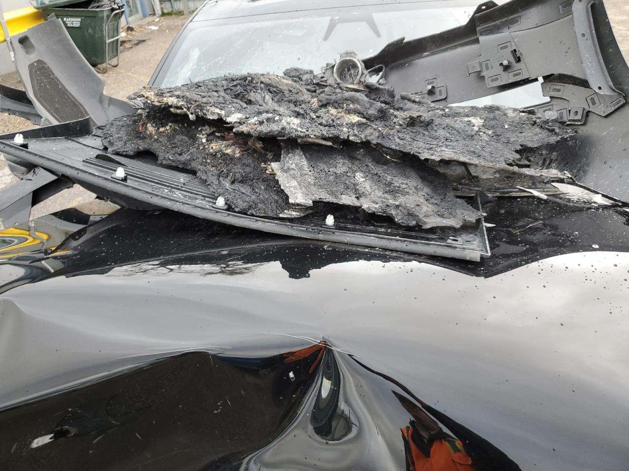 2022 TESLA MODEL S  VIN:5YJSA1E69NF477754