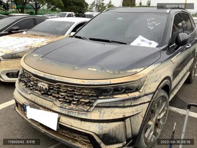 2020 Kia Sorento KNARL81BGMA055224 VIN:KNARL81BGMA055224