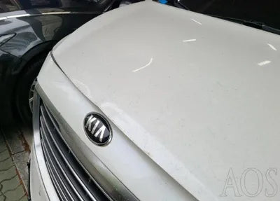 2017 Kia Carnival 318KMKNAME81ABHS3 VIN:318KMKNAME81ABHS3