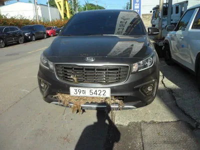 2018 Kia Carnival KNAMB81ABKS455318 VIN:KNAMB81ABKS455318