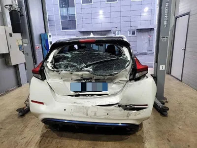 2019 Nissan Leaf 1N4AZ1CP1KC309377 VIN:1N4AZ1CP1KC309377