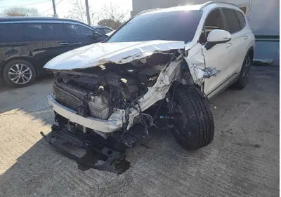 2021 Hyundai Santa FE KMHS381HGMU310393 VIN:KMHS381HGMU310393