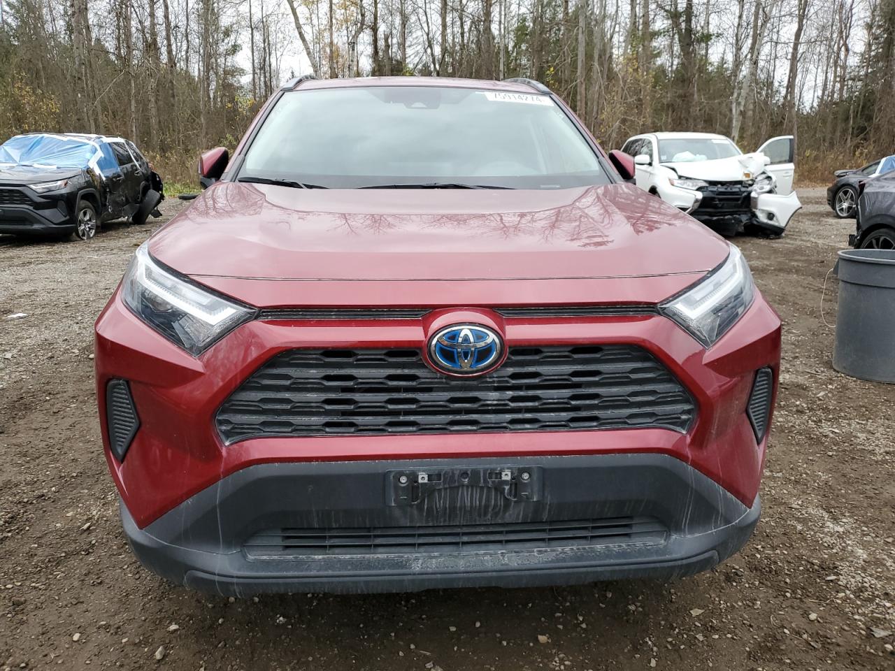 2023 TOYOTA RAV4 XLE VIN:2T3RWRFV8PW170948