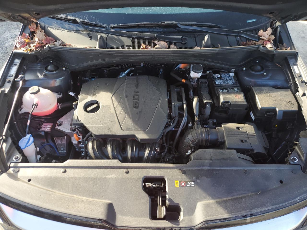 2023 KIA SPORTAGE EX VIN:5XYK33AF7PG129426